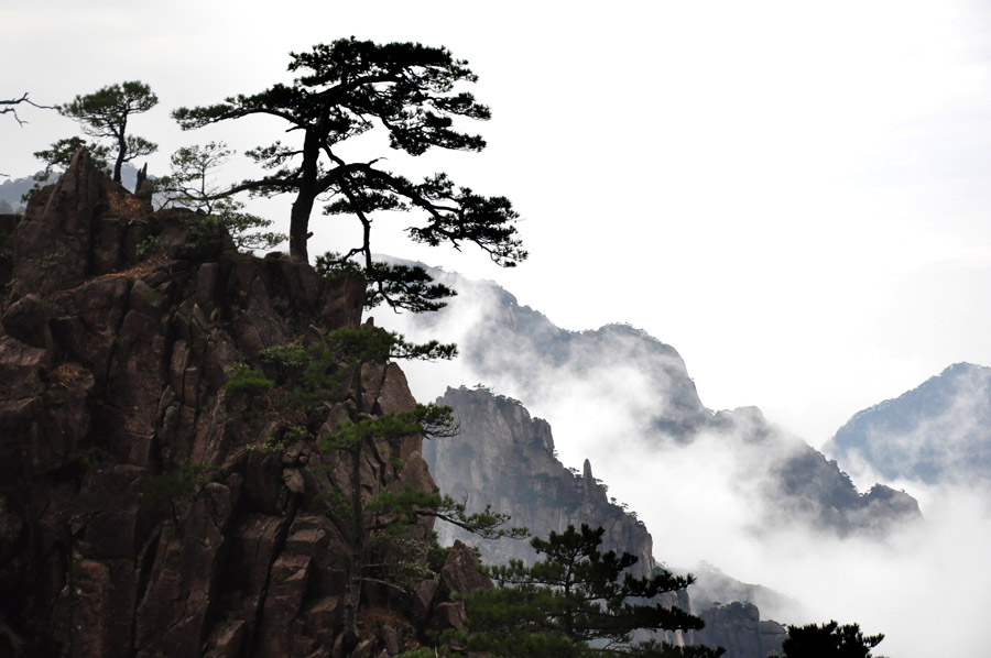 中国の黄山の写真